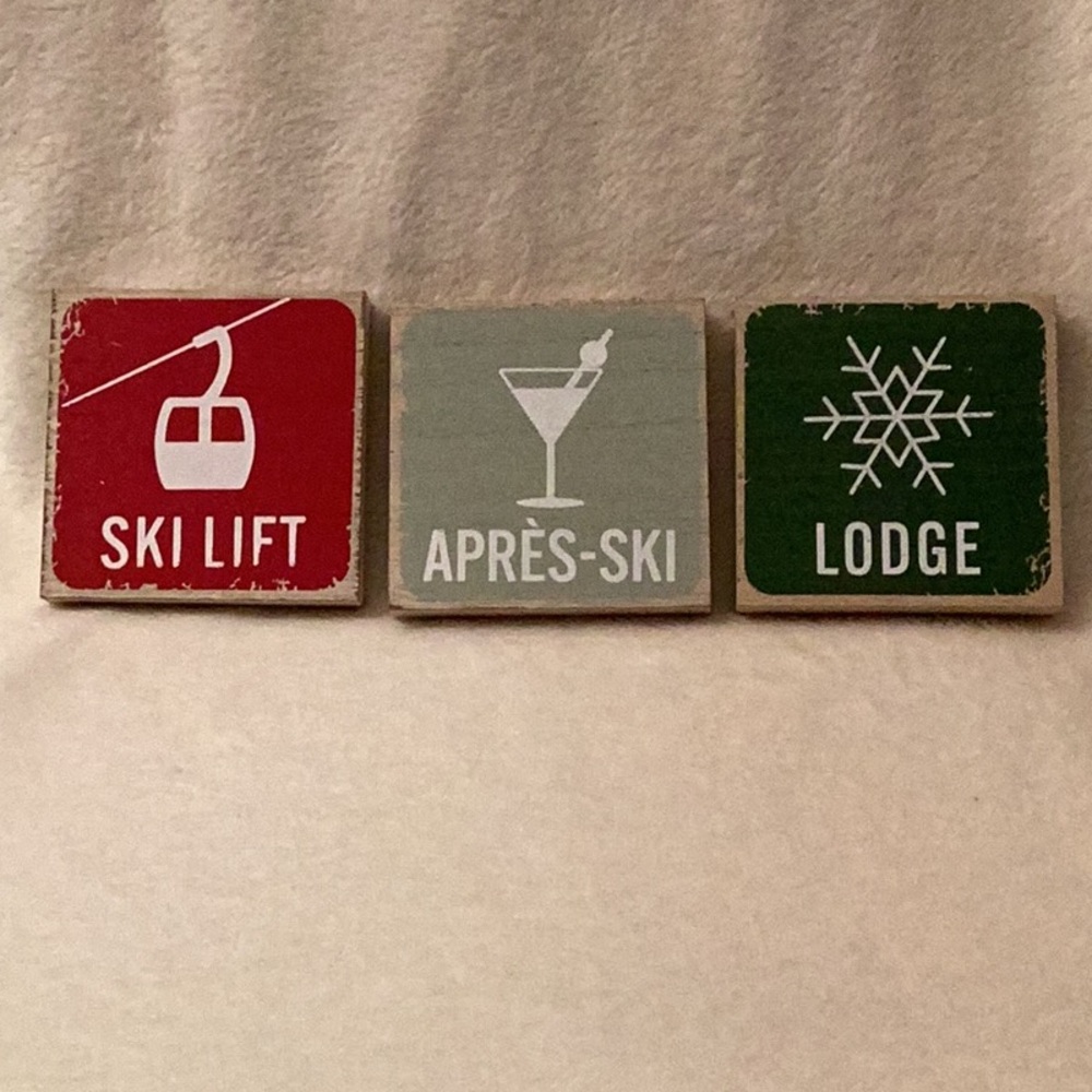 Winter Decor Ski Themed Shelf Sitters ~ Set of 3 ~ Tabletop signs ~ Nice